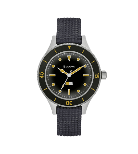 ミルシップの画像